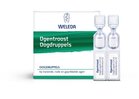 Ogentroost oogdruppels 0.4ml Weleda 20amp