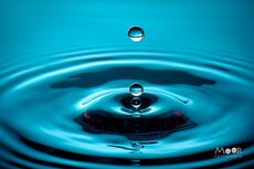 Solution de LDN (0,25 mg /goutte) - 10 ml